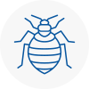 Bed Bug Extermination In Pontyclun